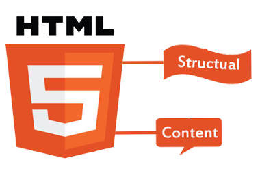 Best Website Designing Company - CodeBind Technologies